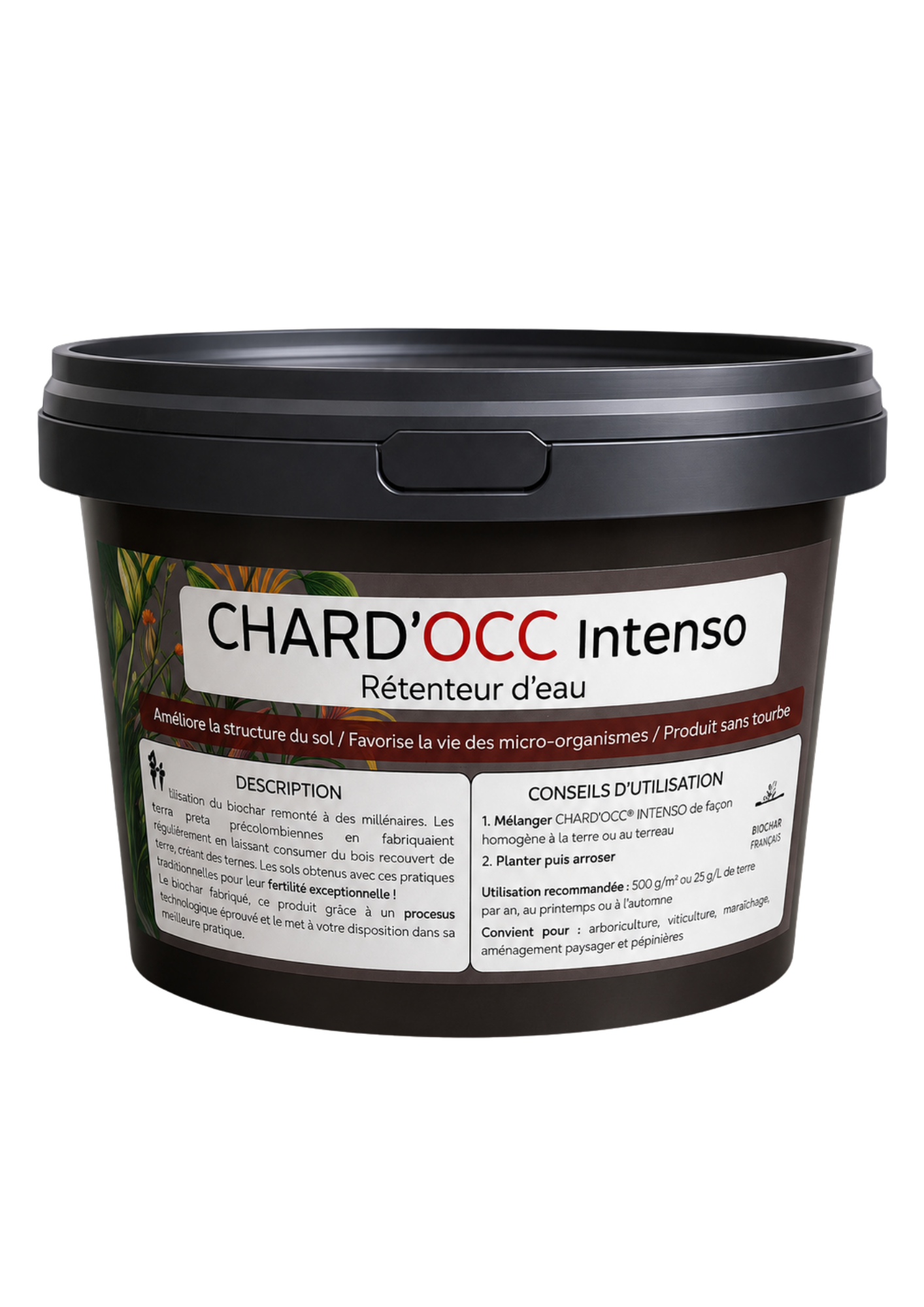 Test Intenso